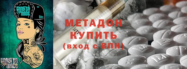 прущие грибы Горно-Алтайск