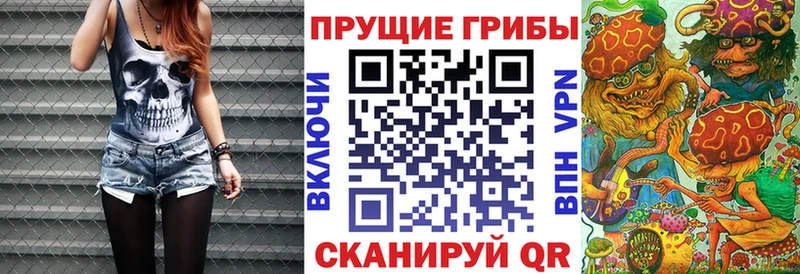 Псилоцибиновые грибы Magic Shrooms  Данков 